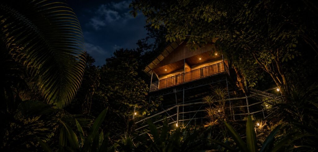 Wooden tree house glowing at night among green trees at the best resort in Munnar
